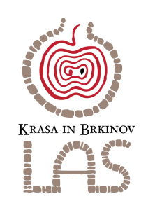 logotip-1-1-222x300_krasa in brkinov
